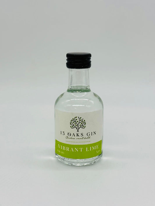 Gin Miniatures 5cl - 42% ABV