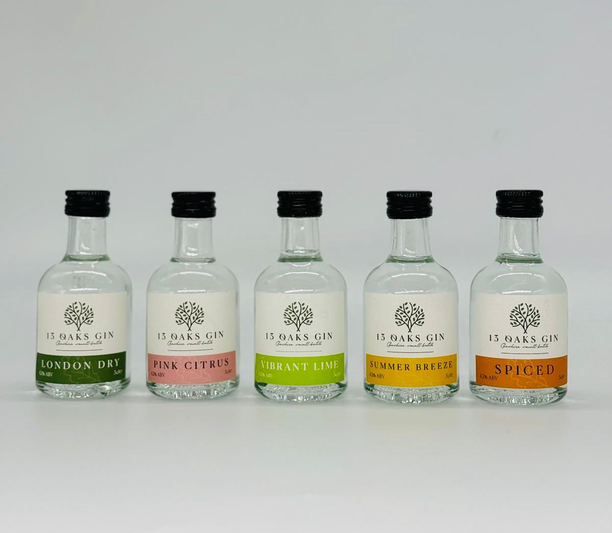 Gin Miniatures 5cl - 42% ABV